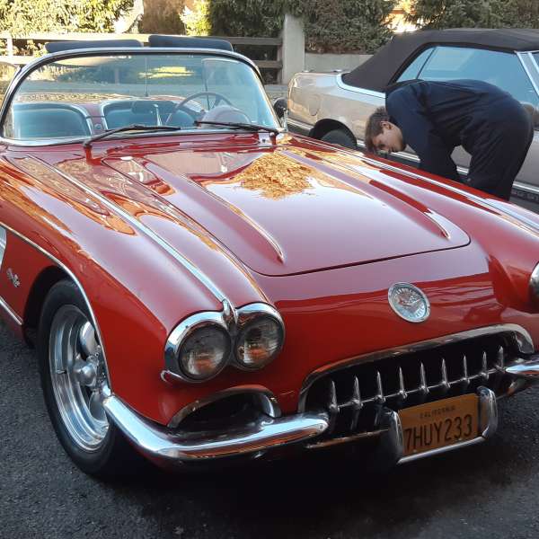 IMPORT Chevrolet Corvette 1959  motors v8