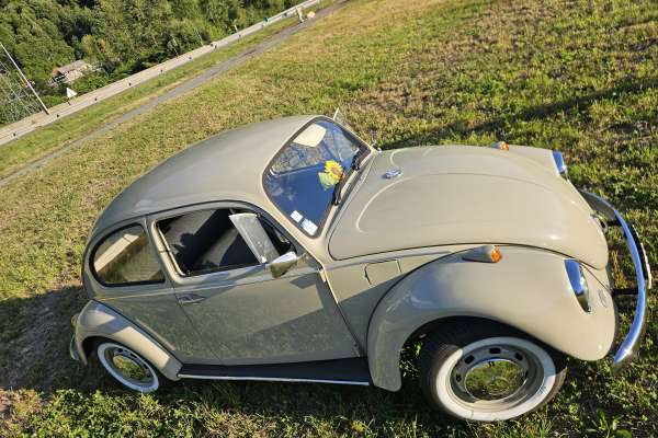 VW  COX 1968 Motors V8