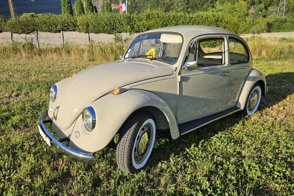 VW  COX 1968 Motors V8