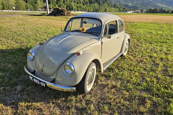 VW  COX 1968 motors v8