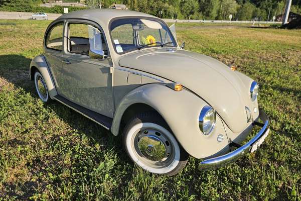 VW  COX 1968 Motors V8