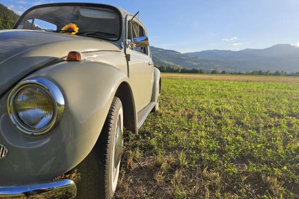 VW  COX 1968 Motors V8