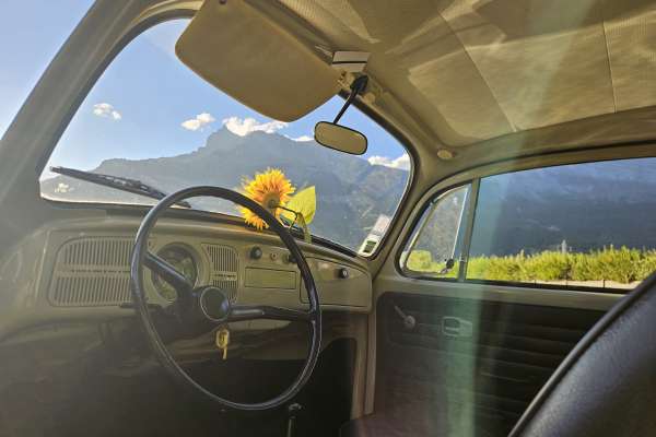 VW  COX 1968 Motors V8