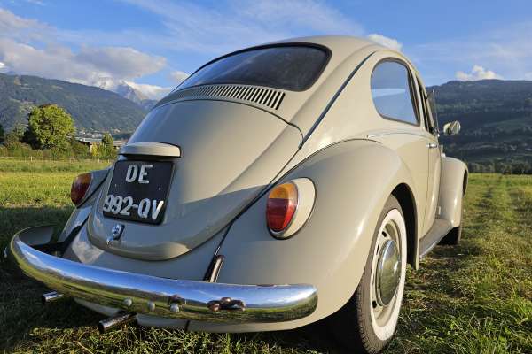 VW  COX 1968 Motors V8