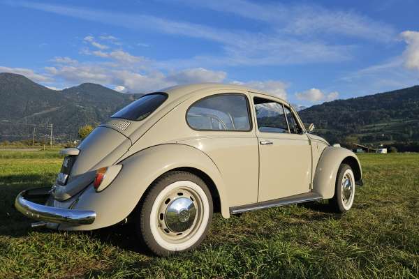 VW  COX 1968 Motors V8